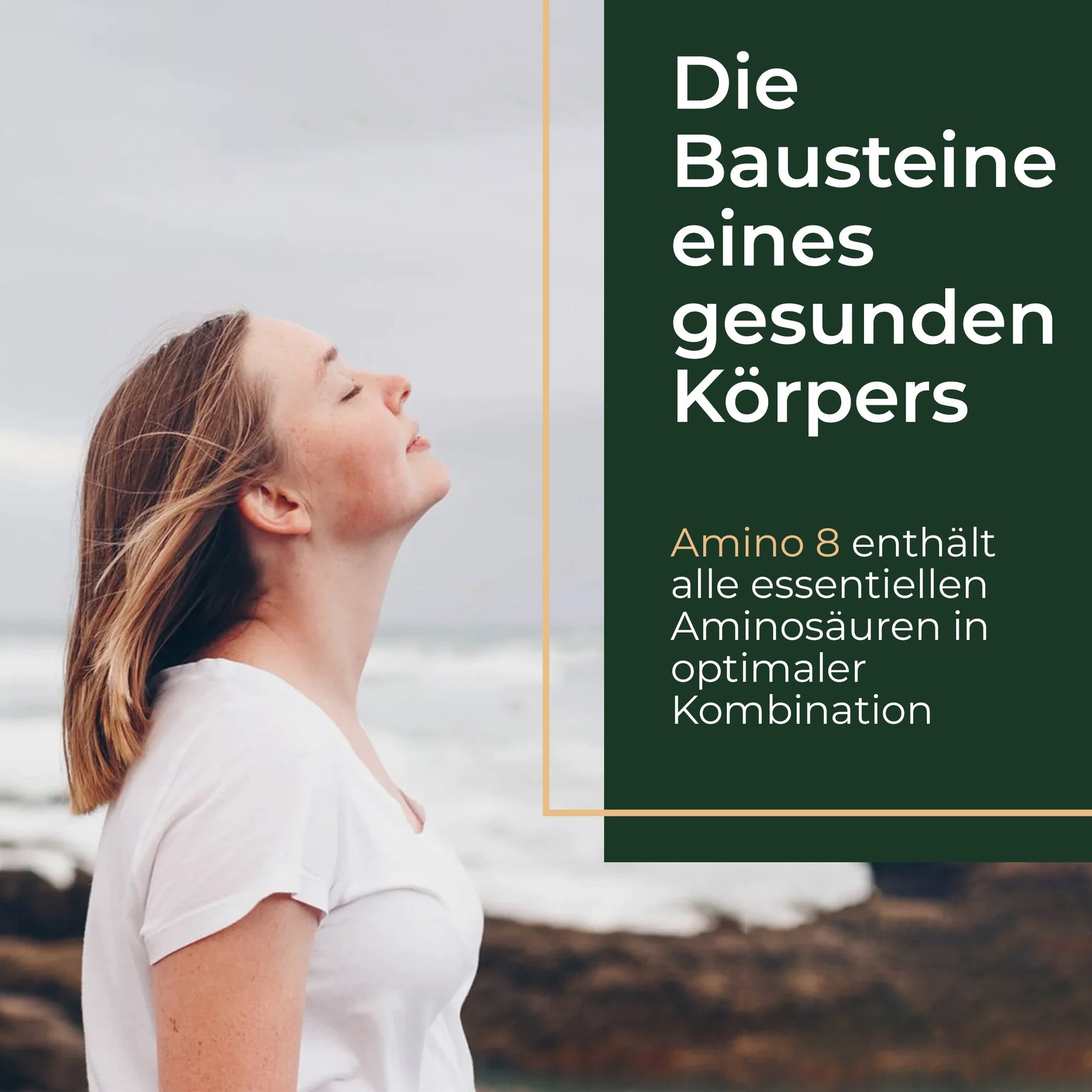 Angebot für Amino 8: Alle essentiellen Aminosäuren