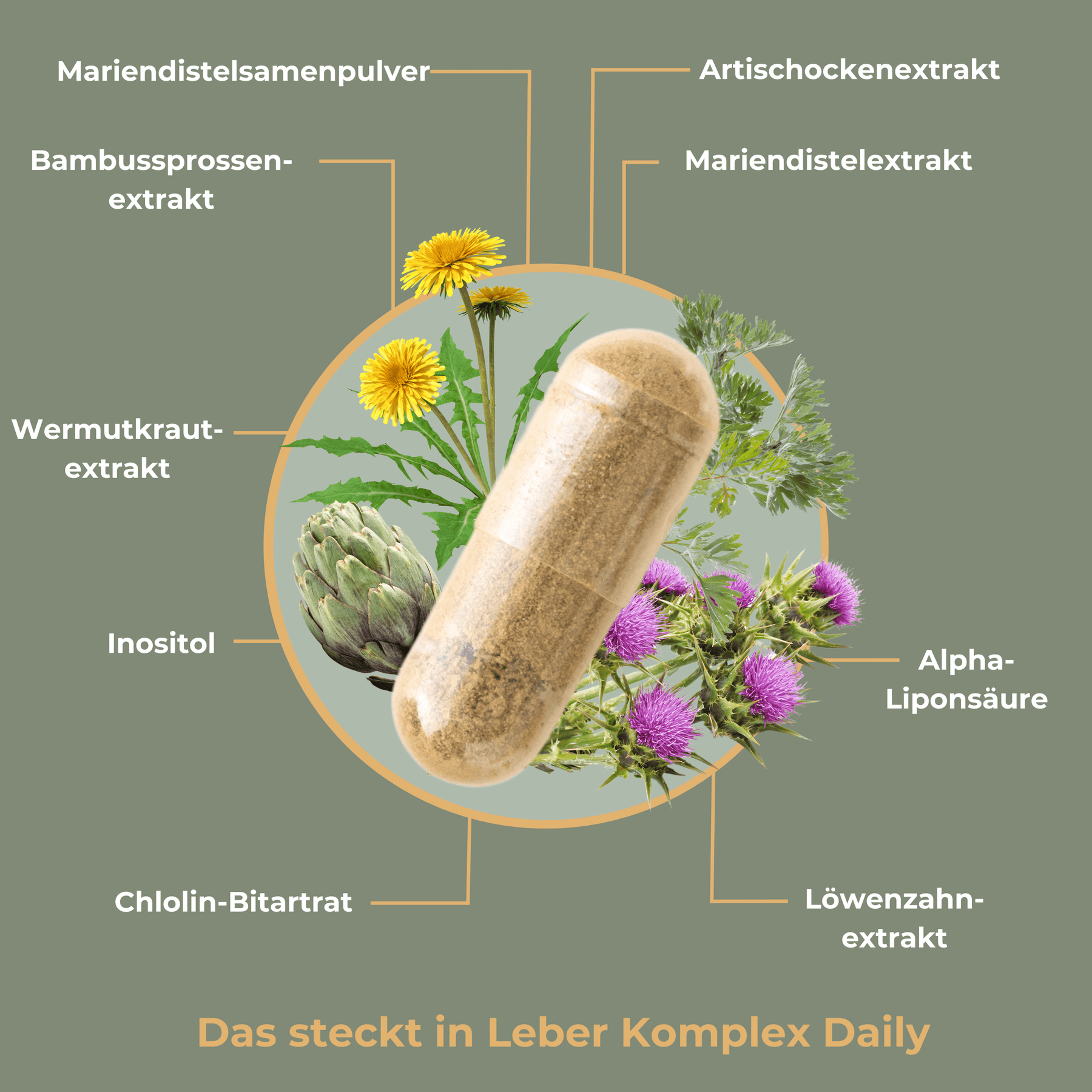 Angebot für Leber Komplex Daily (vegan) - 120 Kapseln