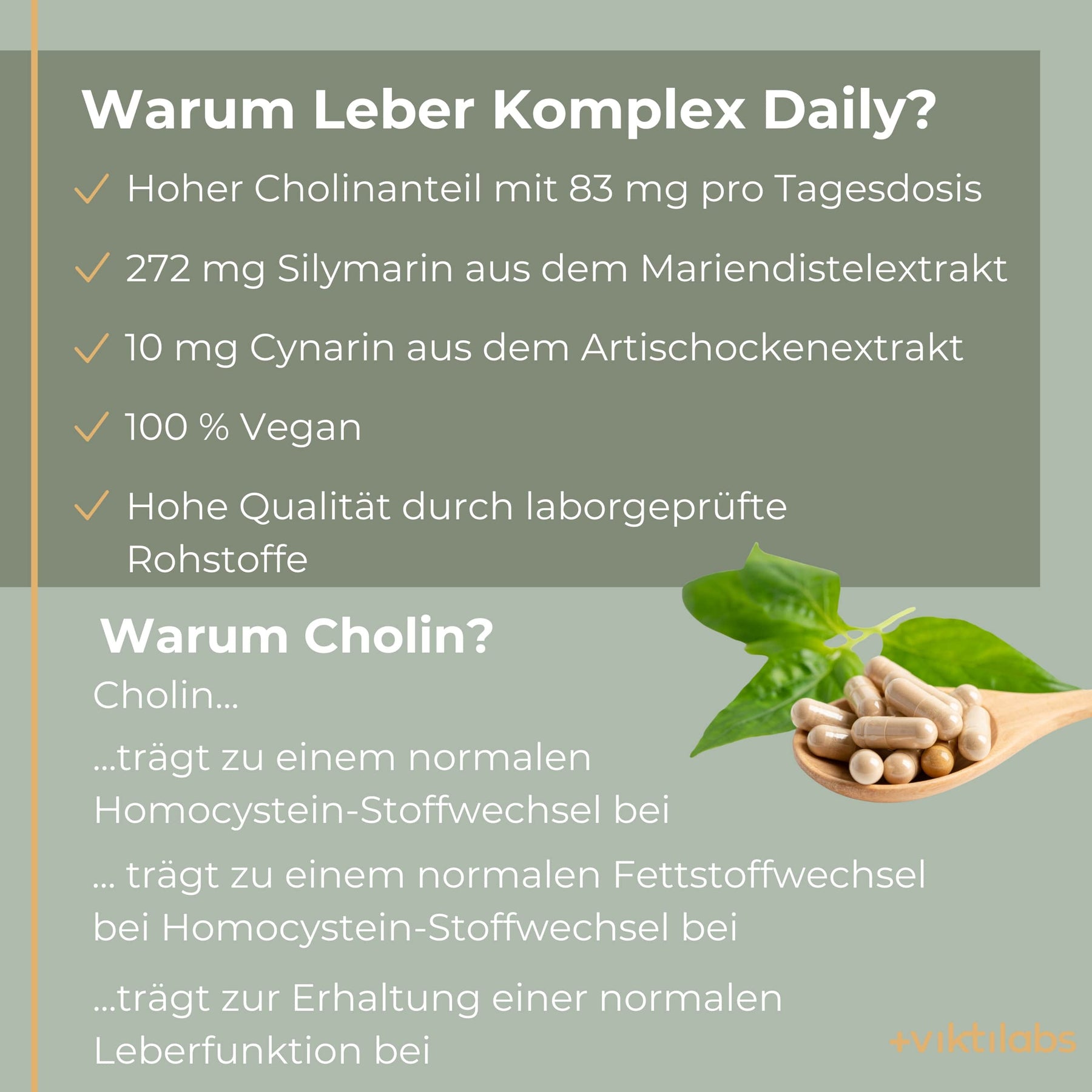 Angebot für Leber Komplex Daily (vegan) - 120 Kapseln