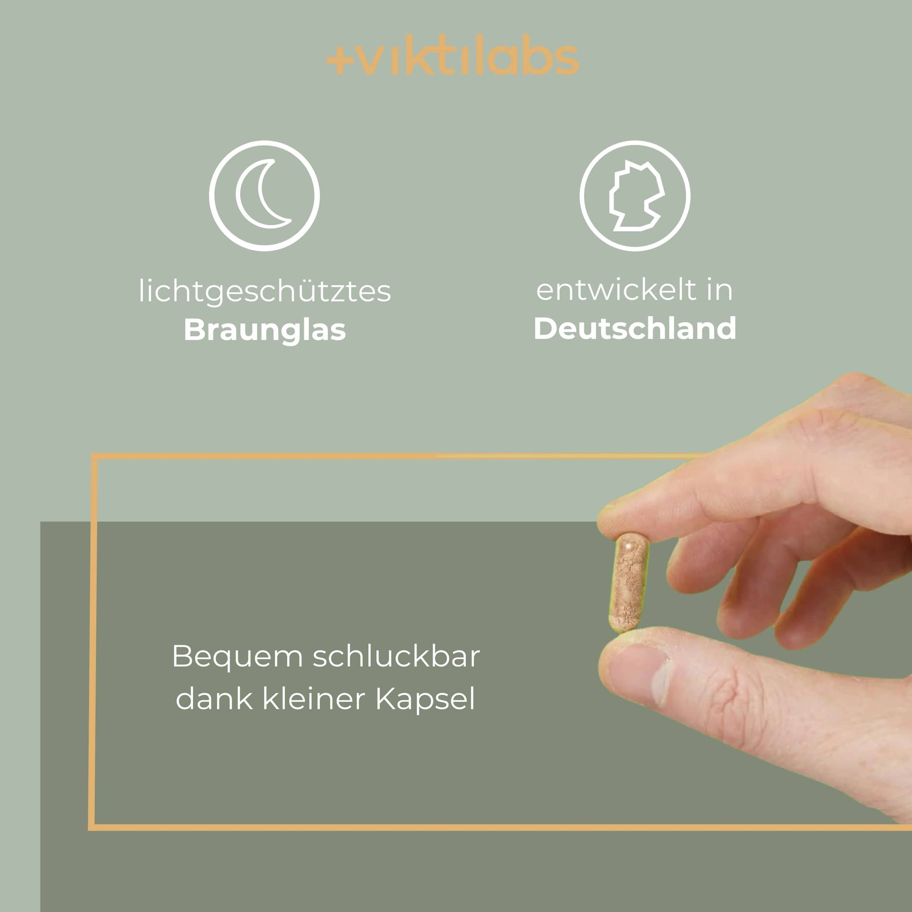 Angebot für Leber Komplex Daily (vegan) - 120 Kapseln