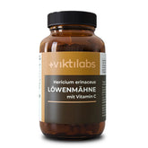 viktilabs-löwenmähne-variantenbild-1