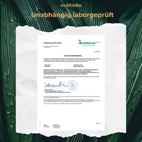 Viktilabs Analyse Untersuchung 2024 Amino 8 [lang-de]