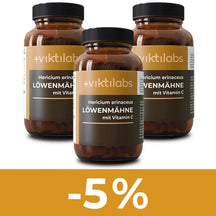 viktilabs-löwenmähne-variantenbild-3-balken