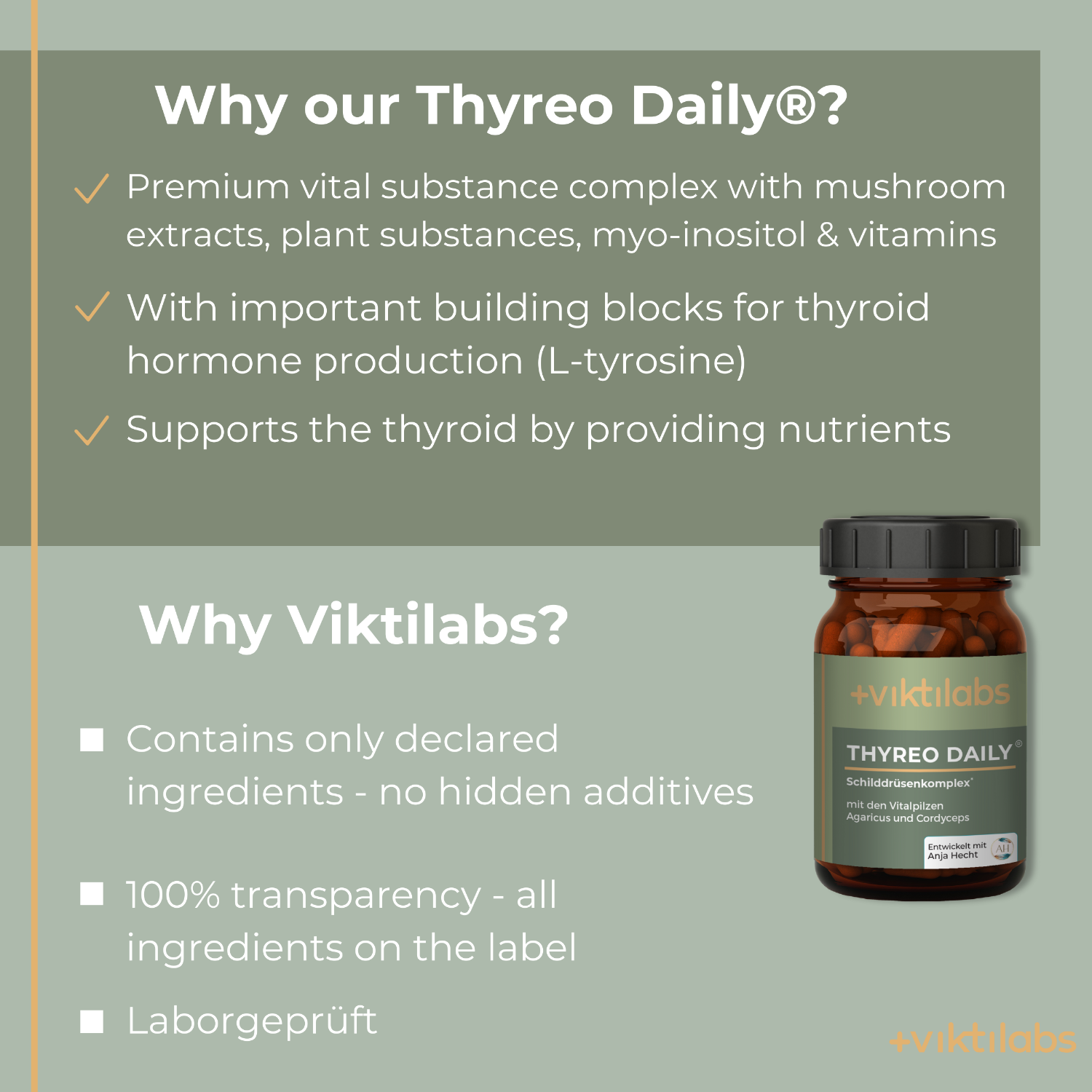 Englisch Thyreo daily 2 [lang-en]