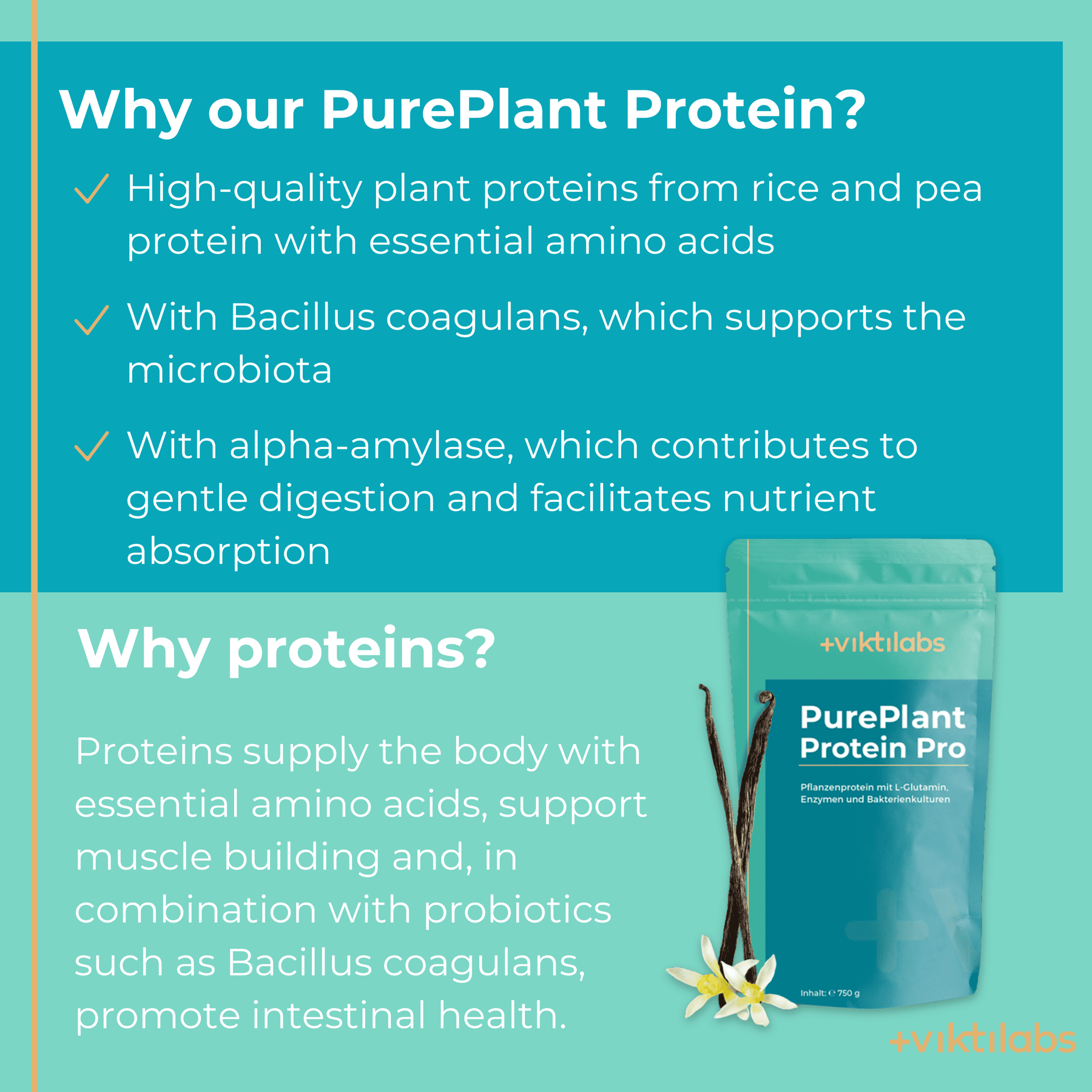 EN PurePlant Protein Pro 1 [lang-en]