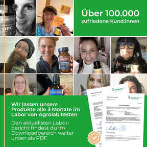 Angebot für Leber Komplex Daily (vegan) - 120 Kapseln