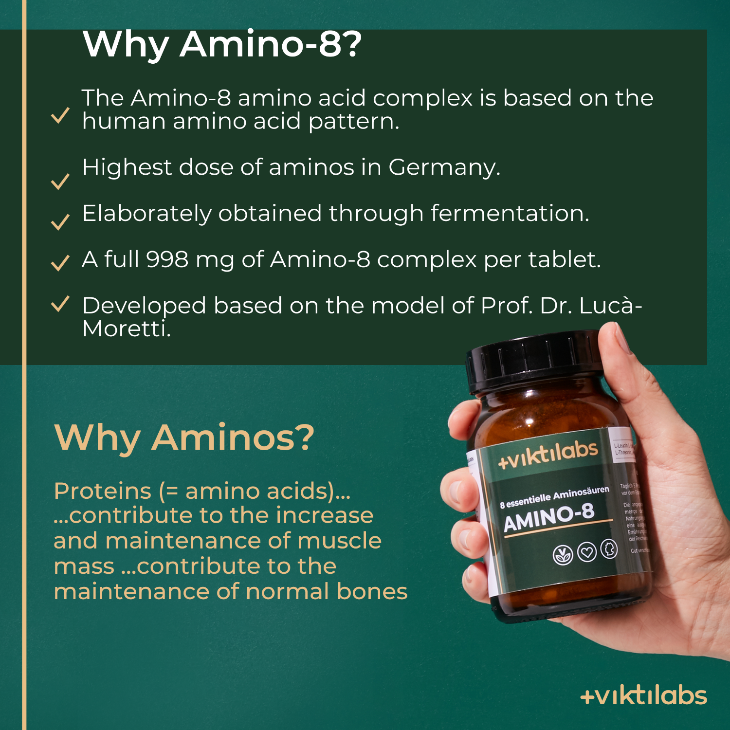English Amino 8 2 [lang-en]
