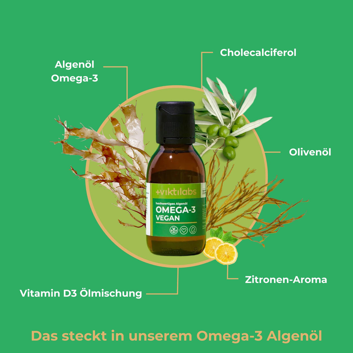 Offer for Omega-3: Vegan with algae oil